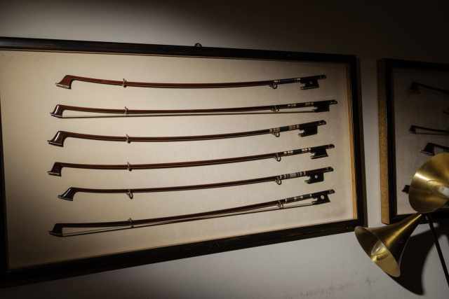 Exposição de arcos de violino na recepção da oficina Slaviero. Fabricados em pau-brasil (Paubrasilia echinata), esses arcos de alta qualidade têm valor total estimado em aproximadamente 40 mil euros